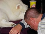 DSC01434.jpg Time for a nap. image by Shut-R-Bug