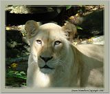 DSC01213focuscrp40FX.jpg image by Shut-R-Bug