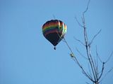 DSC06547afbc.jpg The only shot I got of "ARRYTHMIA". Pilot-Rick Cusick of Lima, Ohio. 2005 Challenge Champion. image by Shut-R-Bug