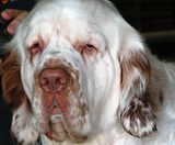 IMG_7045.jpg \"I\'m so happy I could just spit.\" image by Shut-R-Bug