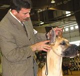 IMG_7312.jpg YU-UK! I never could stand to share the dog\'s liver like this. image by Shut-R-Bug