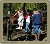 DSC00981crpfocusFX3.jpg Back to the horse. She was a big attraction for kids and adults alike. image by Shut-R-Bug