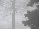 DSC04711.jpg Foggy view from the bedroom window. Sony H5-1.7X teleconverter. Untouched. image by Shut-R-Bug