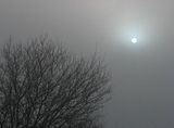 IMG_4307NDfilter-asis.jpg No, this is not the MOON. This is the sun trying to break through thick fog on a February morning. Taken with the Canon S3, using an ND filter, just as it came from the camera. image by Shut-R-Bug