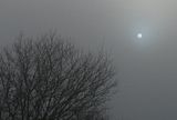 IMG_4308-NDfilter-autofocus.jpg Same image-used auto-focus on PhotoImpact10-Canon S3 w/ND filter. image by Shut-R-Bug