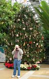 DSC03019.jpg Just inside the main door is a huge, live tree, decorated with all natural ornaments. In front of it stands my DH, Richard...shooting his first shots with his brand new Nikon D40. His pictures will be in a separate album, and will put these to shame. image by Shut-R-Bug