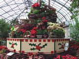 DSC03030.jpg This room changes with the seasons more than any other. This year the main focus is this giant \"Music Box\". image by Shut-R-Bug