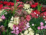 DSC03065.jpg Someone put a lot of thought into this arrangement of form and color. image by Shut-R-Bug