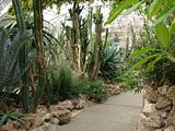 DSC03099.jpg Down the path of the cactus/succulent room. image by Shut-R-Bug