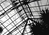 DSC03105.jpg My pitiful attempt at a black and white conversion. image by Shut-R-Bug