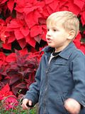 DSC03147.jpg This young man was awestruck by the Christmas beauty before him. image by Shut-R-Bug