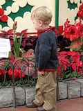 DSC03158.jpg This young man is more fascinated with the flowers around the base of the \'music box\'. image by Shut-R-Bug