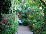 DSC03178.jpg There\'s much to see on these \'jungle\' paths. image by Shut-R-Bug