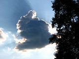 Bunnycloud.jpg Bunny Cloud-Canon S3 image by Shut-R-Bug