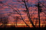 DSC_0052N.jpg December 11, 2006-Sunrise from the bedroom window-telephone pole and all. Richard\'s new Nikon D40. image by Shut-R-Bug