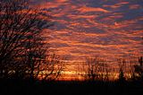 DSC_0056N.jpg 12-11-06-Sunrise from computer room window-snagged Richard\'s new Nikon D40 while he slept. image by Shut-R-Bug