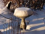 DSC04003.jpg This shot of our bird bath was featured as an \"honorable mention\" on the Cincy Ch.12 news Weather Report photo contest. Sony H5. image by Shut-R-Bug