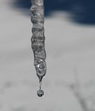 IMG_2671shrp.jpg Another favorite-Canon S3 image by Shut-R-Bug