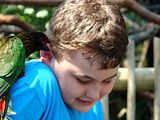 DSC00283afbc.jpg Then the Lorikeet gets a \'bit\' too aggressive. image by Shut-R-Bug
