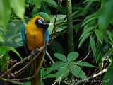 DSC01097f.jpg image by Shut-R-Bug