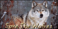 Save The Wolves