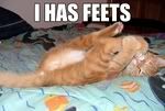 feetsqu6.jpg feeties image by darkangel-whitewings