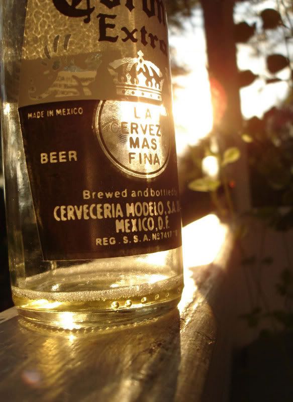 beer Pictures, Images and Photos