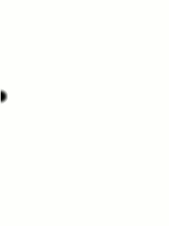 burn-inFheroLOgo.gif