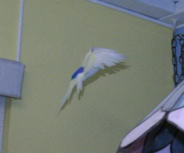 flight7.jpg