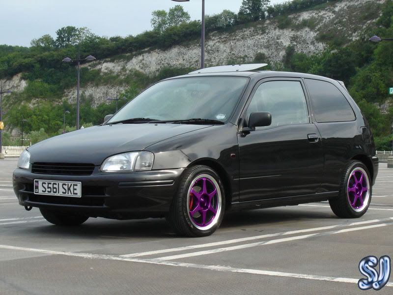 bourkeyPURPLE2.jpg