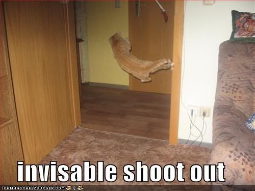 funny-pictures-cat-invisible-shooto.jpg
