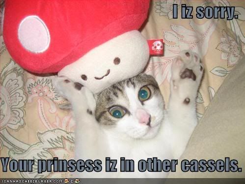 lolcat-funny-picture-mario-cat.jpg