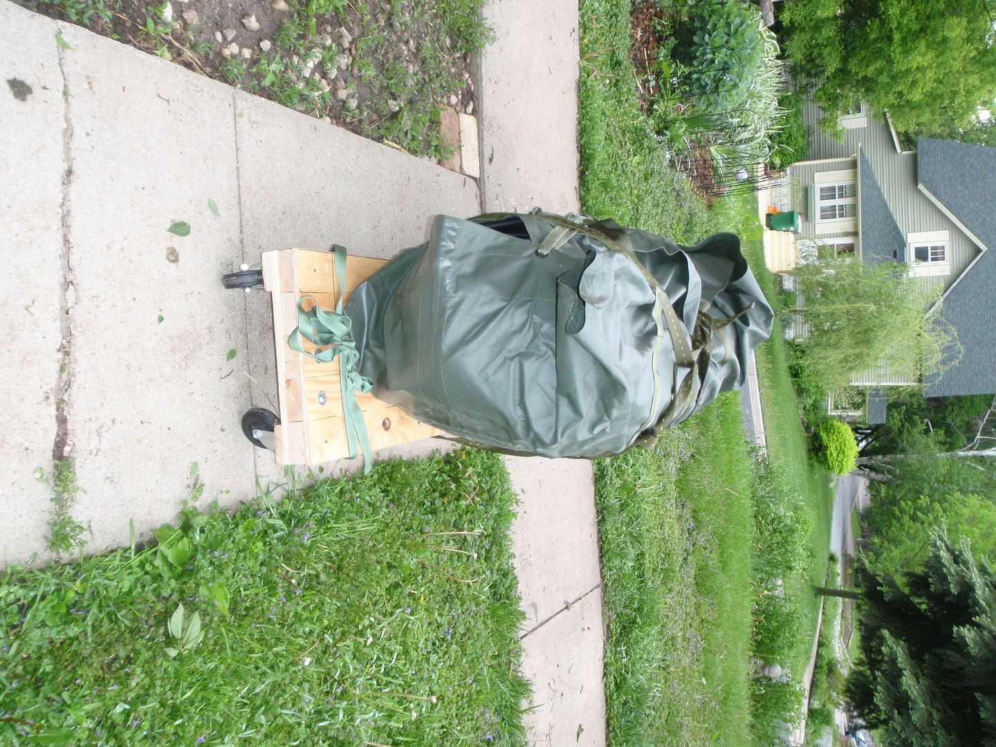 5-29-11005.jpg