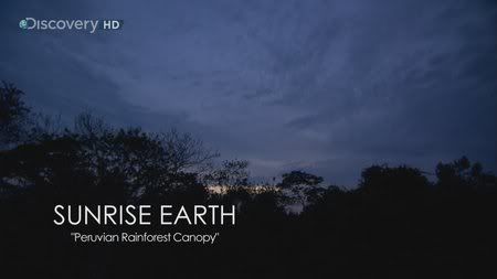 Discovery HD Theater - Sunrise Earth E47 Peruvian Rainforest Canopy