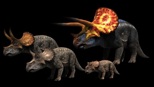 Dinosaurs Decoded
