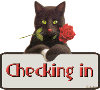 HelloCheckingInBlackCat.gif
