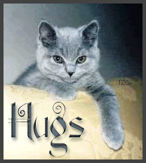 HugsCat-1.gif