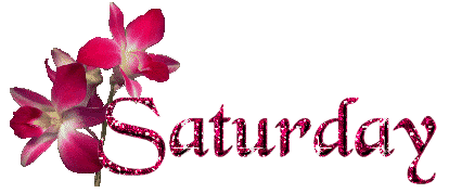Saturday2.gif