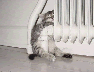th_cat_radiator.gif