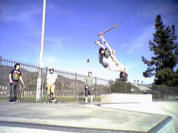 tanerflipwhip.jpg