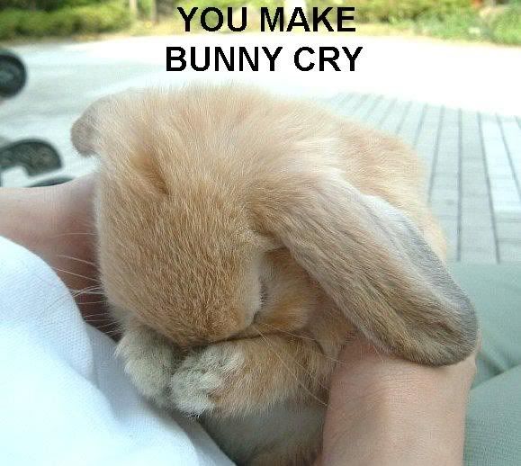 you-make-bunny-cry.jpg