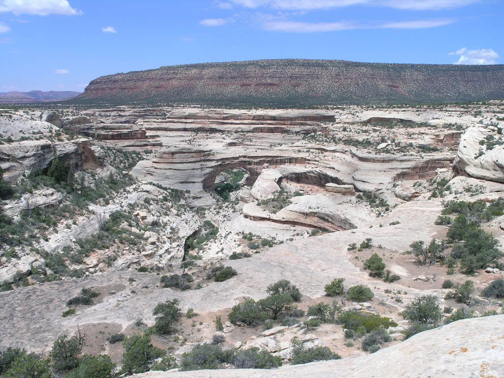 http://i94.photobucket.com/albums/l93/ibbladn/2008%20July%20Trip/July2008280.jpg