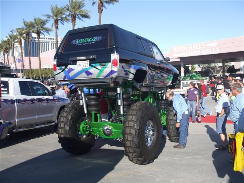 sema057mediumbo2.jpg