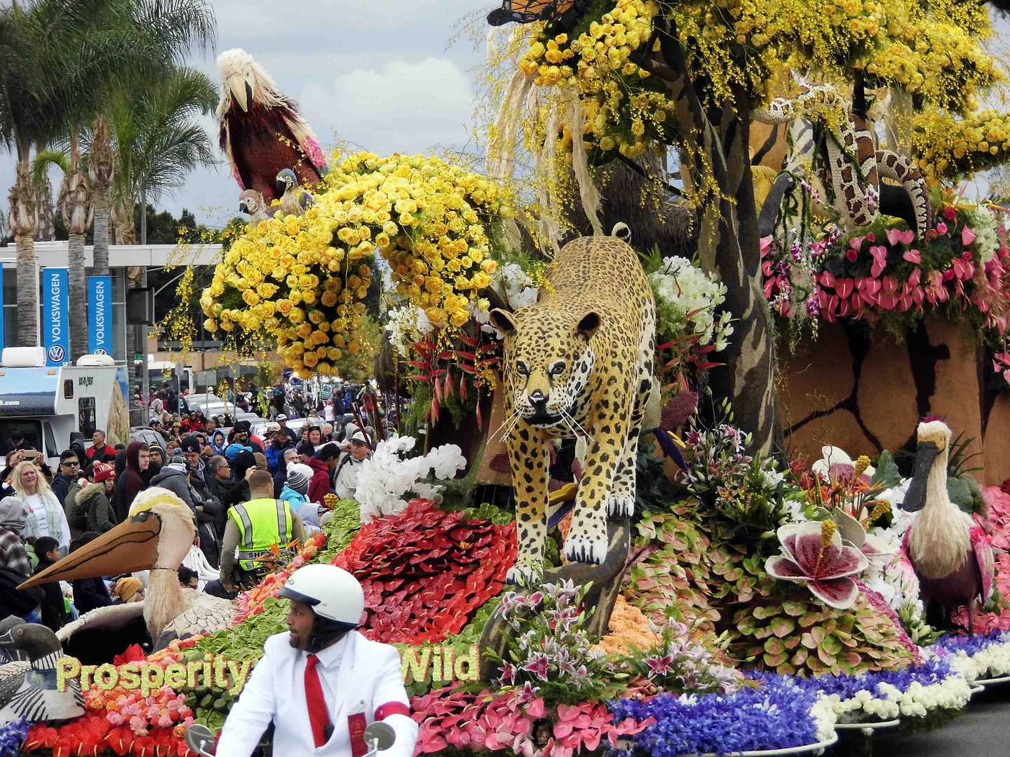 Regret Photo Essay The Rose Parade Never On A Sunday Edition