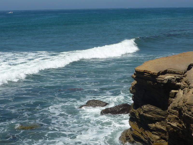 tidepools
