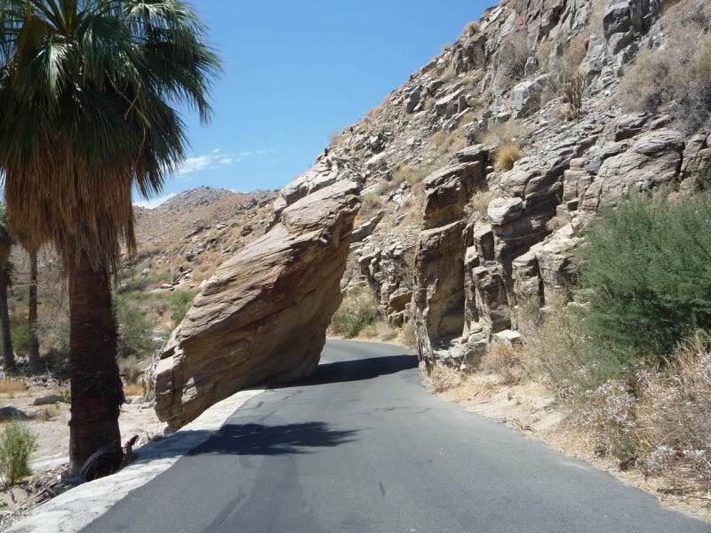 Palm Canyon
