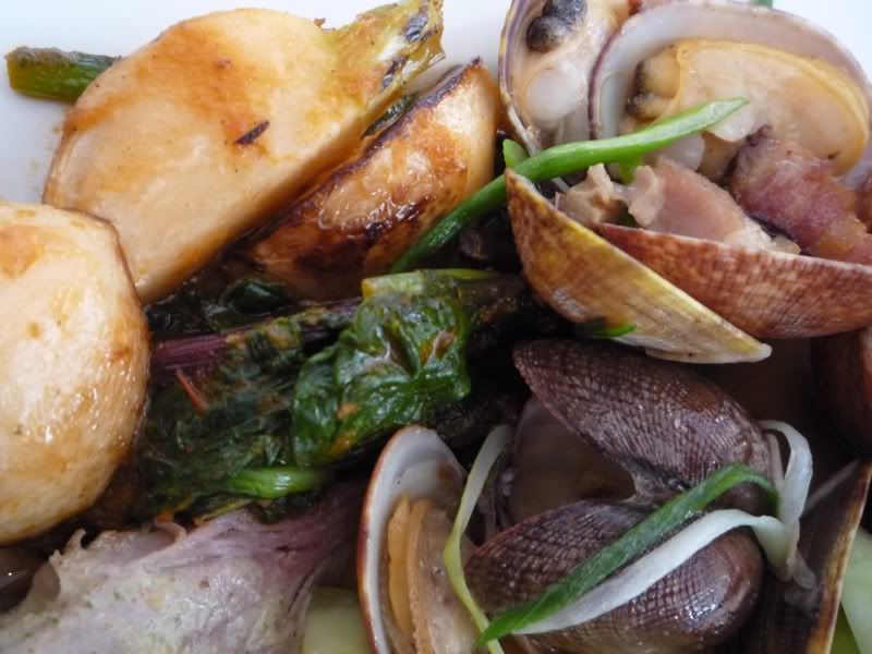 clams