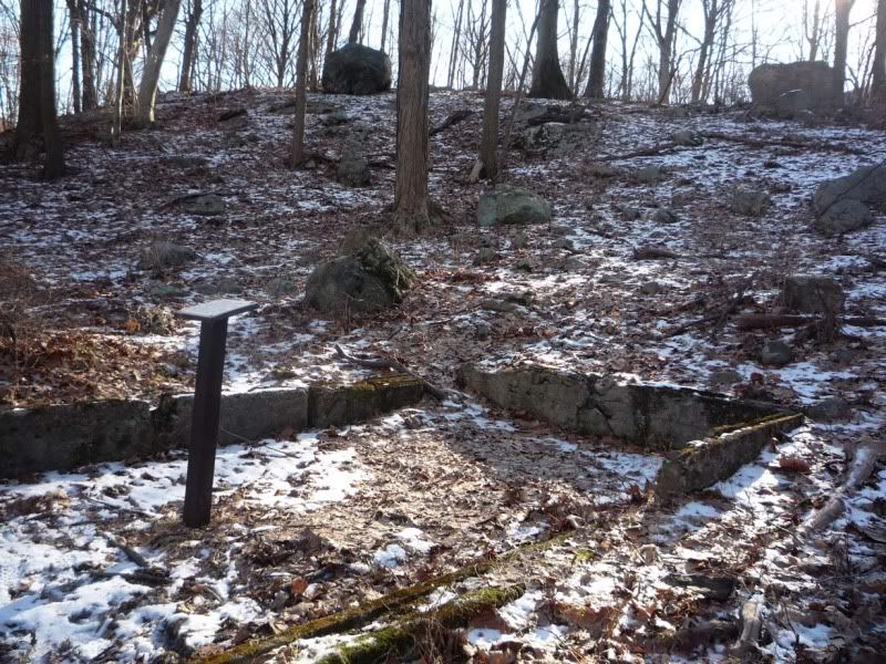 foundation