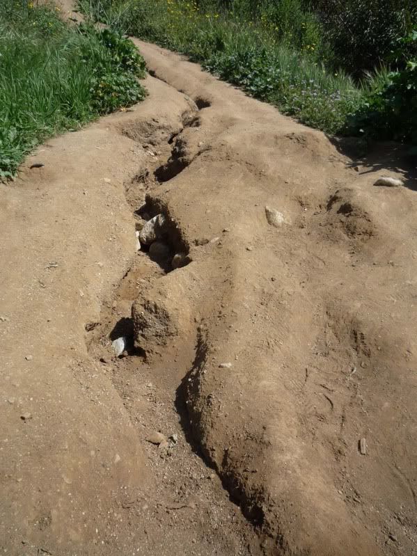 ravine