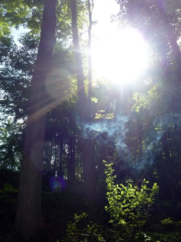 smoke